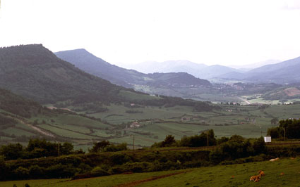 Lekandero
