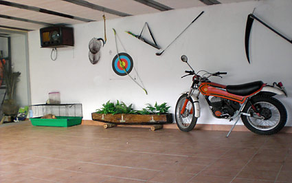 Palacio San Narciso