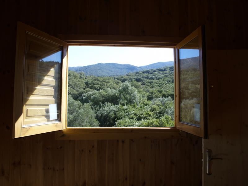 Aula De La Naturaleza El Picacho