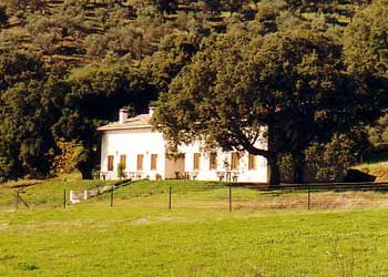 Riscos Altos