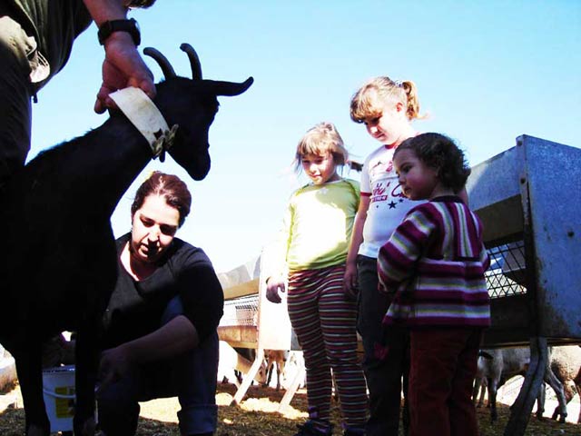 Agroturismo La Artezuela