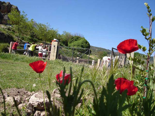 Agroturismo La Artezuela