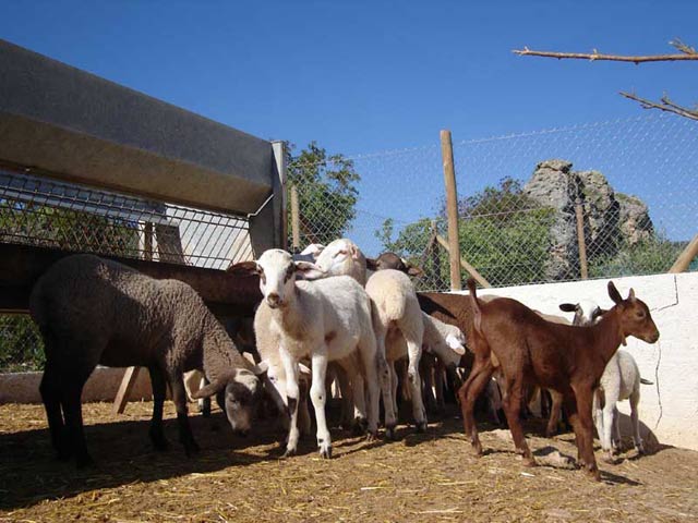 Agroturismo La Artezuela