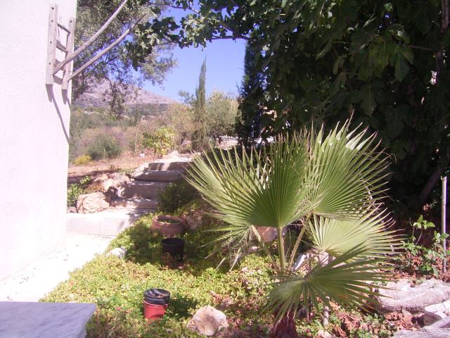 Casita Olivos
