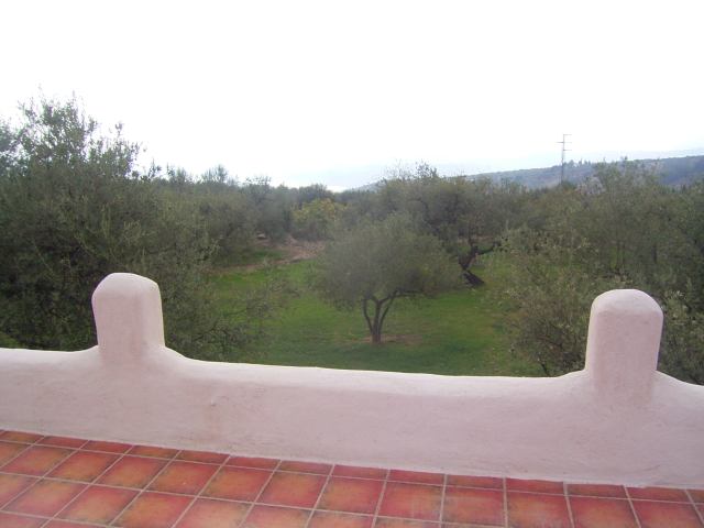 Casita Olivos
