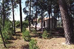 El Pinar De La Torrecilla