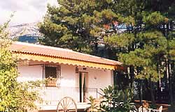 El Pinar De La Torrecilla