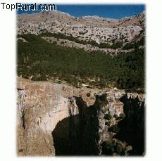 El Pinar De La Torrecilla