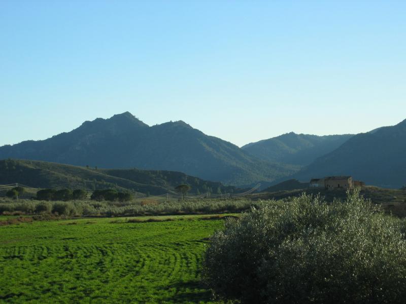Casa Mojete