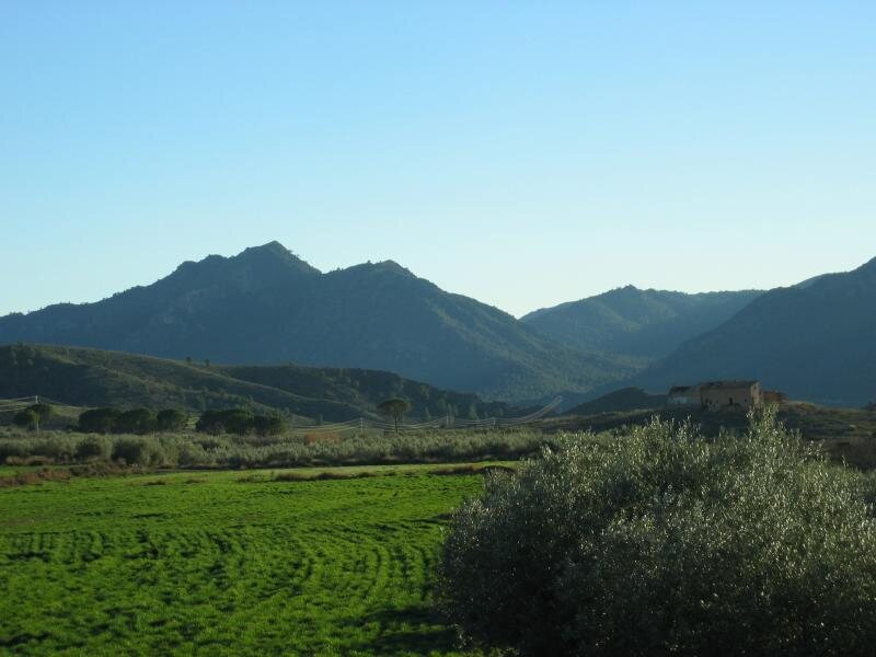 Casa Mojete
