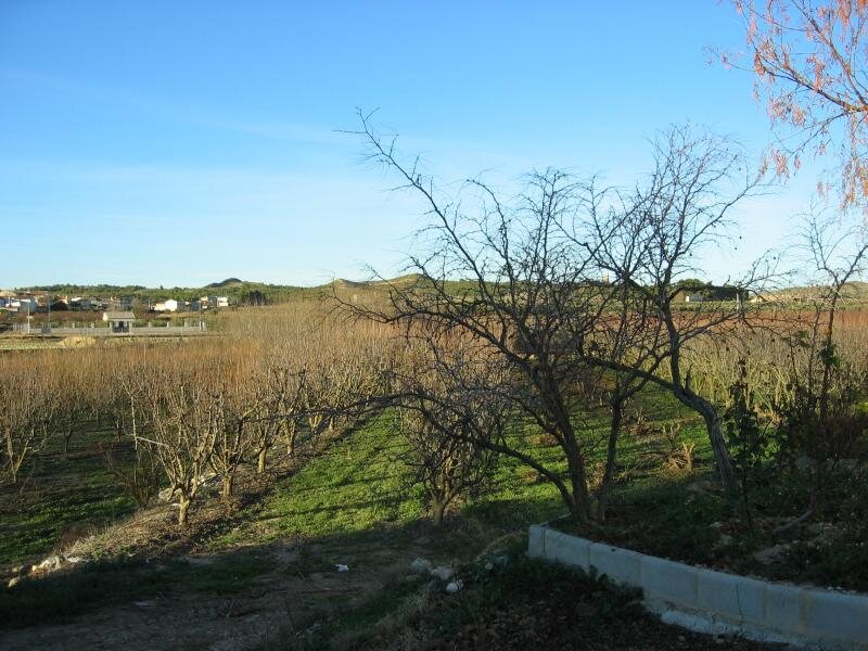 Casa Mojete