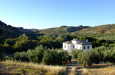 Casa Olea