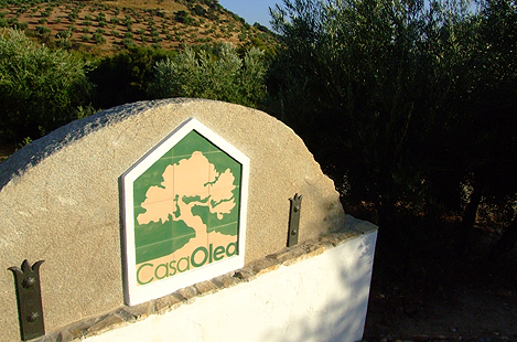 Casa Olea