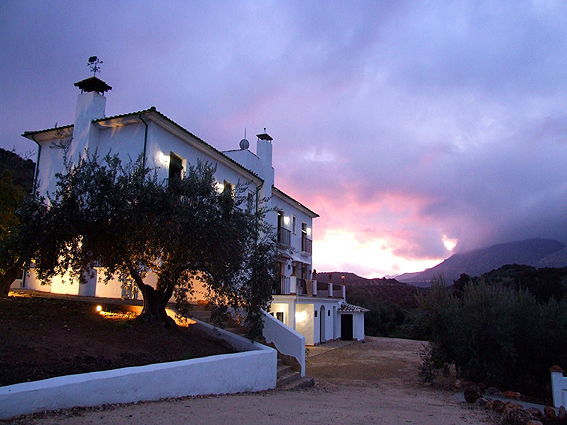 Casa Olea