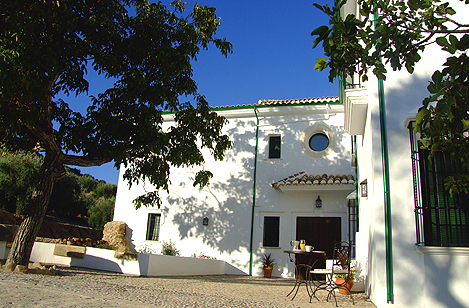 Casa Olea