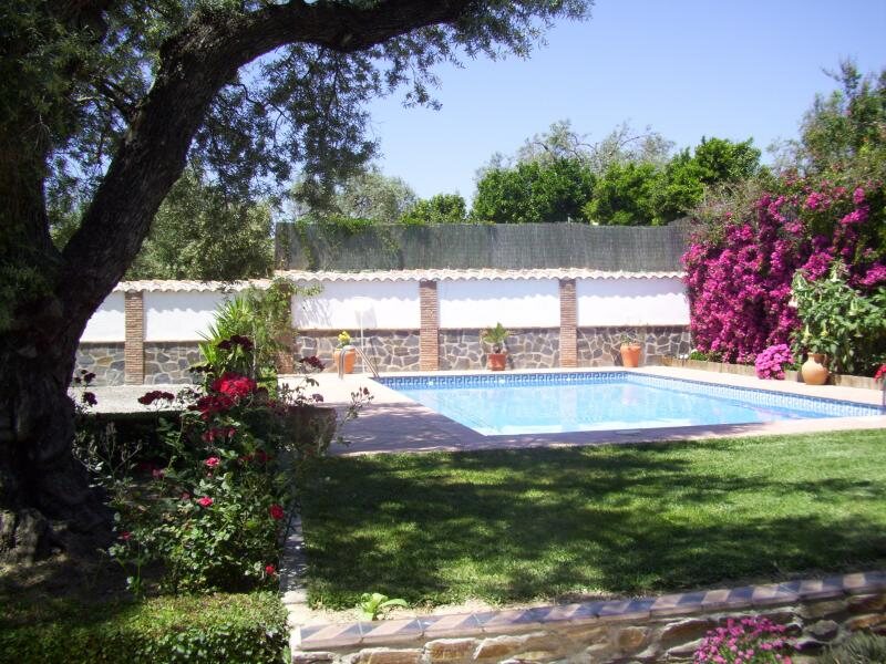 Los Naranjos