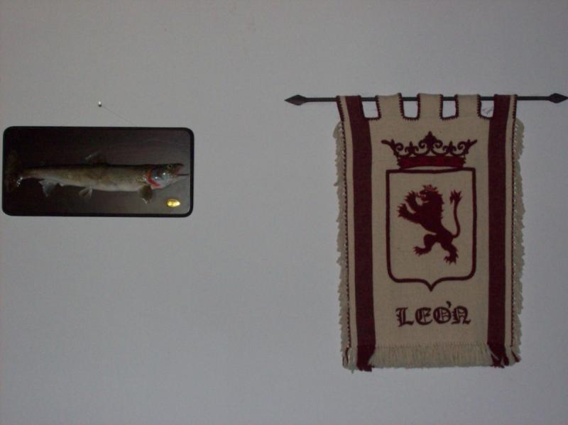 Reino De León I