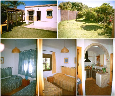 Casa Cycas