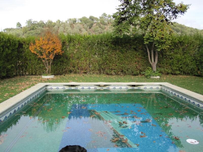 Finca Villa Paraiso