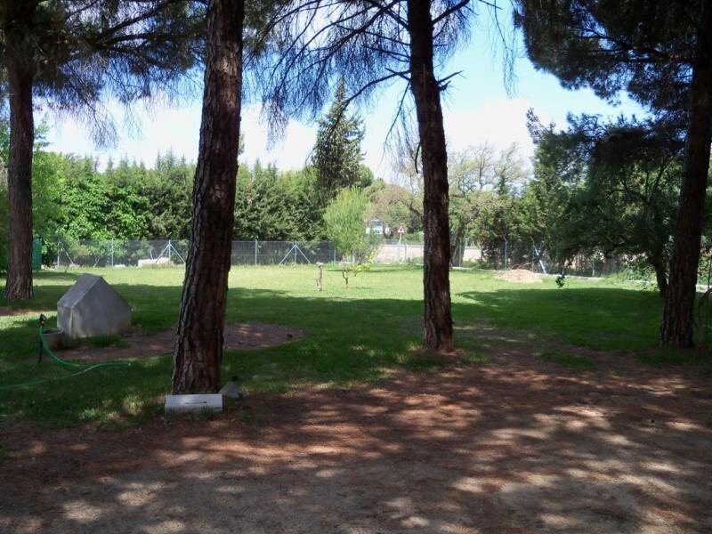 Casa Rural el Pinar