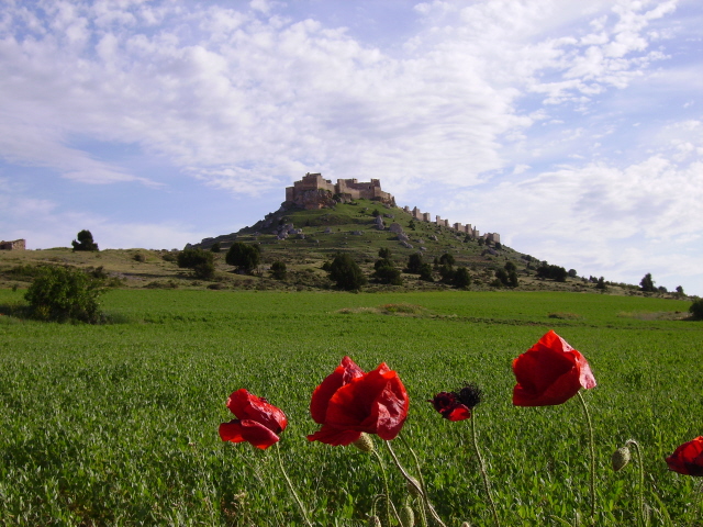 El Rincón De Elena