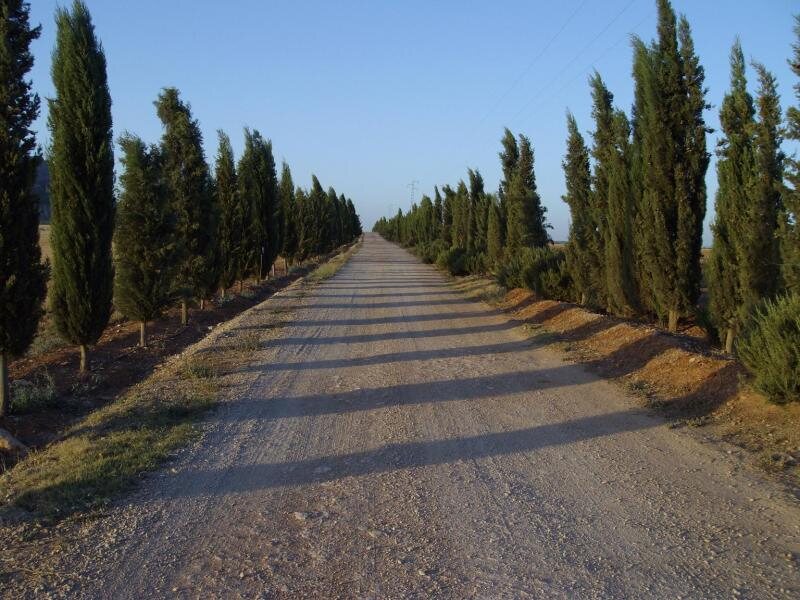 Cortijo Ferradores