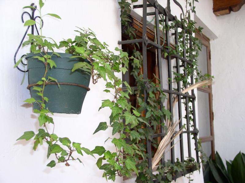 La Casona Del Abuelo Parra