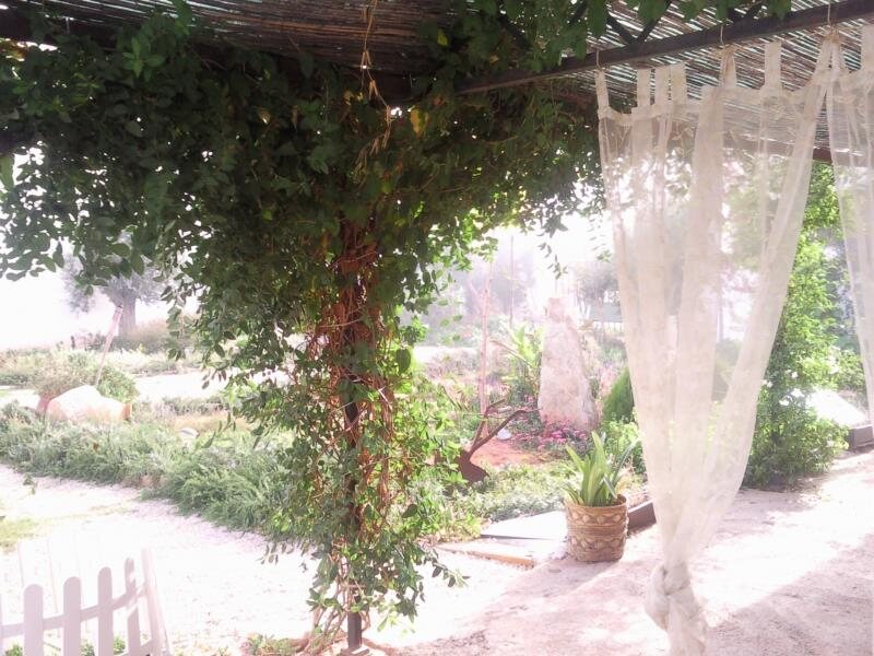 La Casona Del Abuelo Parra