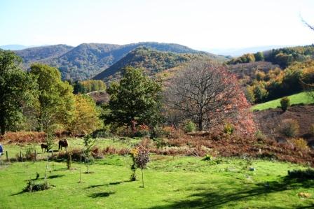 Kaaño Etxea Casa Rural  Ecológica