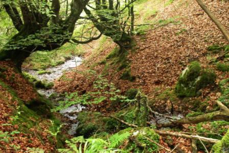 Kaaño Etxea Casa Rural  Ecológica