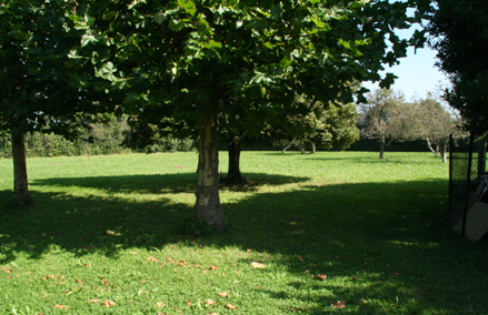 Los Campos