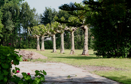 Los Campos