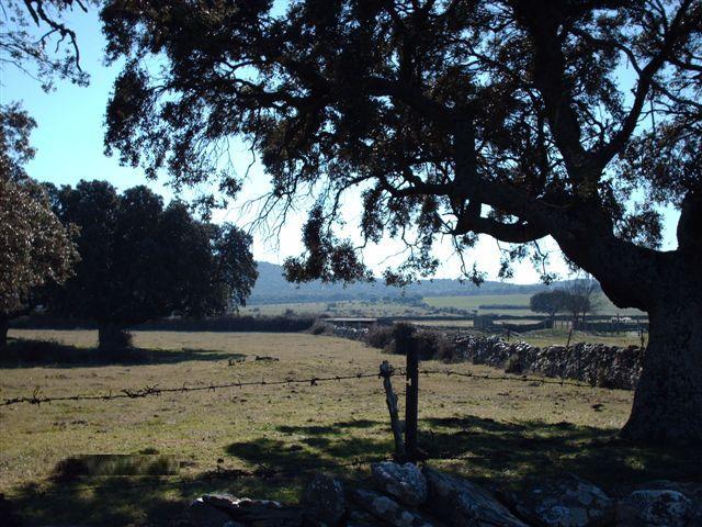 El Rincon Del Charro