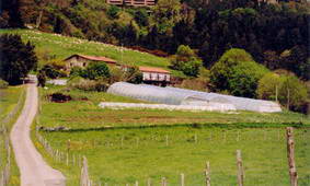 Aristondo