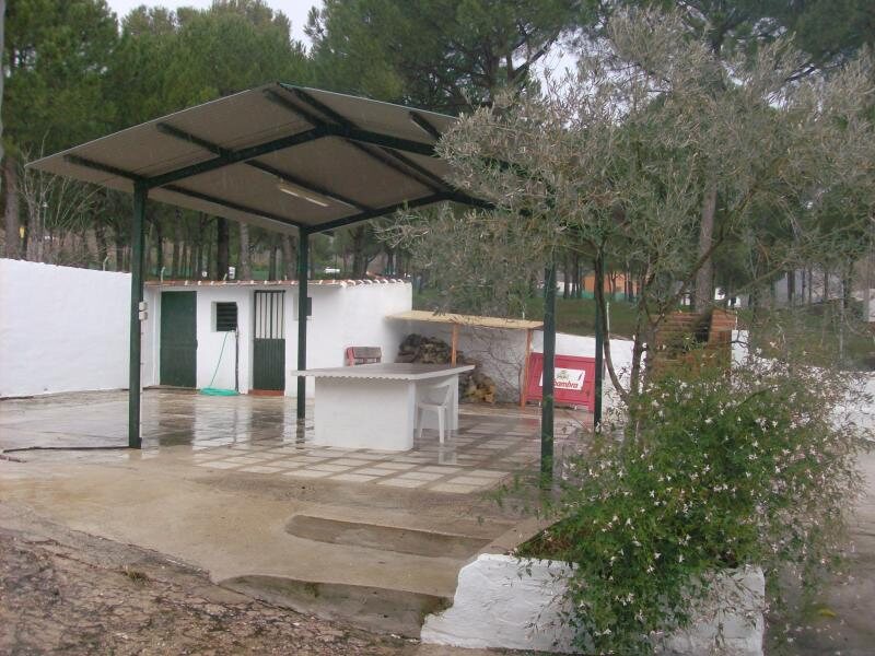 Los Arbolitos