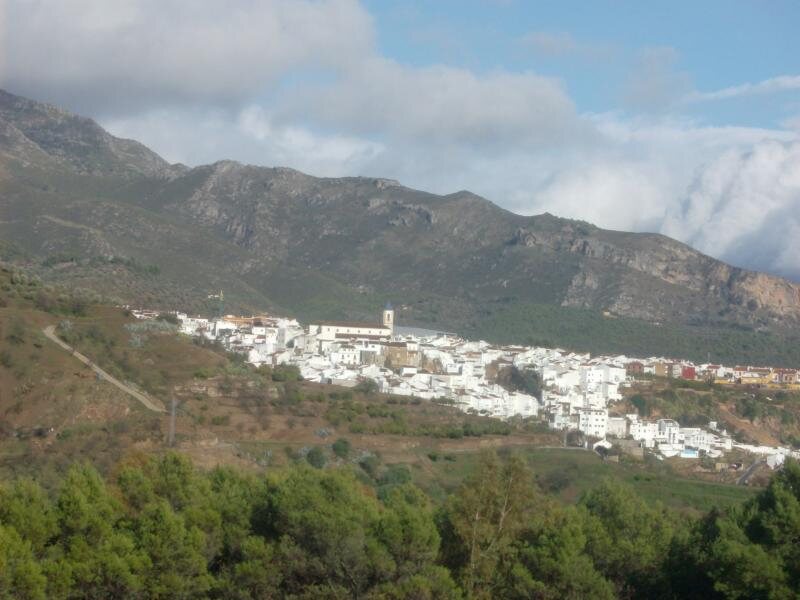 Los Arbolitos