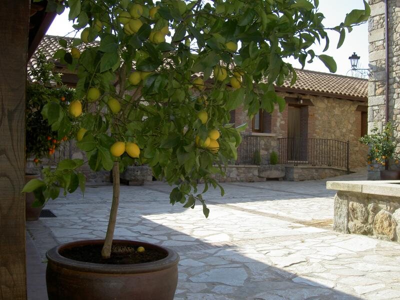 Granadilla Del Duque