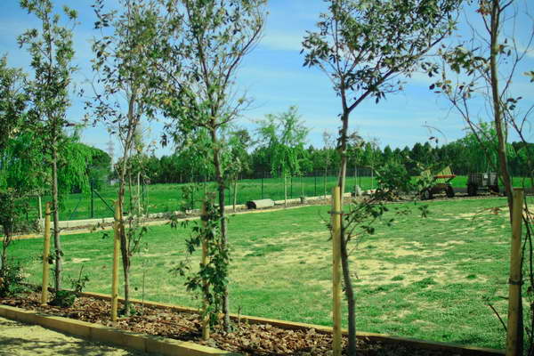 Mas Ca L'estrada