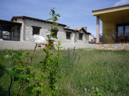 Casa Roman
