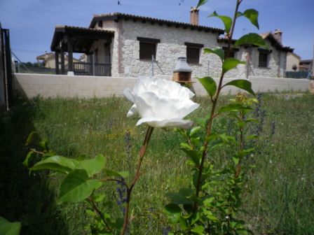 Casa Roman