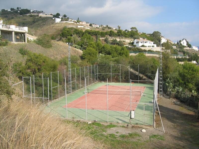 El Palmito