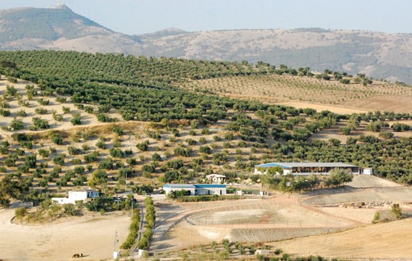 Cortijo Rural Encina Vieja