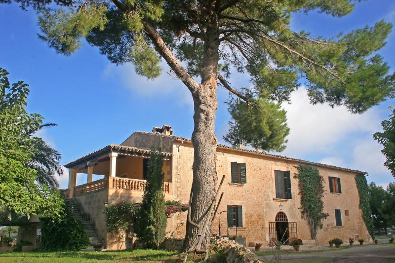 PossessiÓ Binicomprat