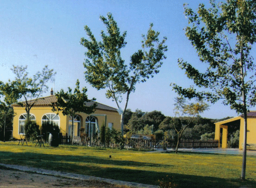 Lotechico