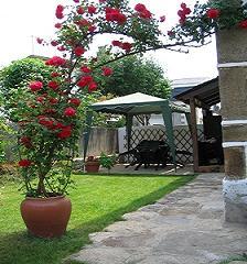 Casa de Abuela