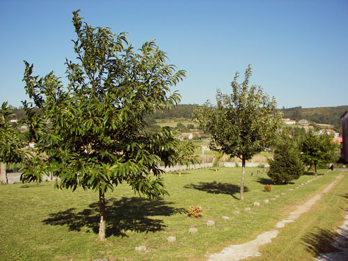 A Eira Moura