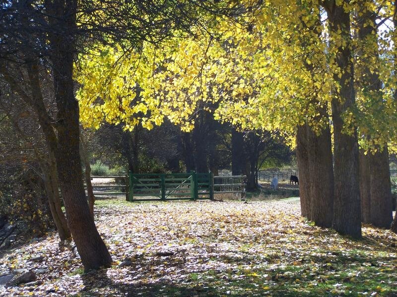 Alojamiento Rural Casa Berna