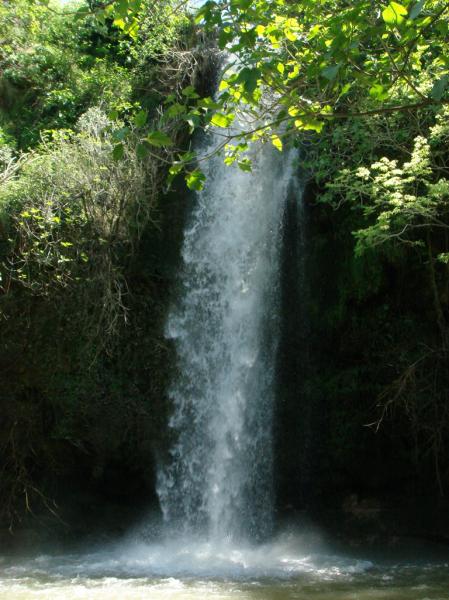 Nahuar Rural