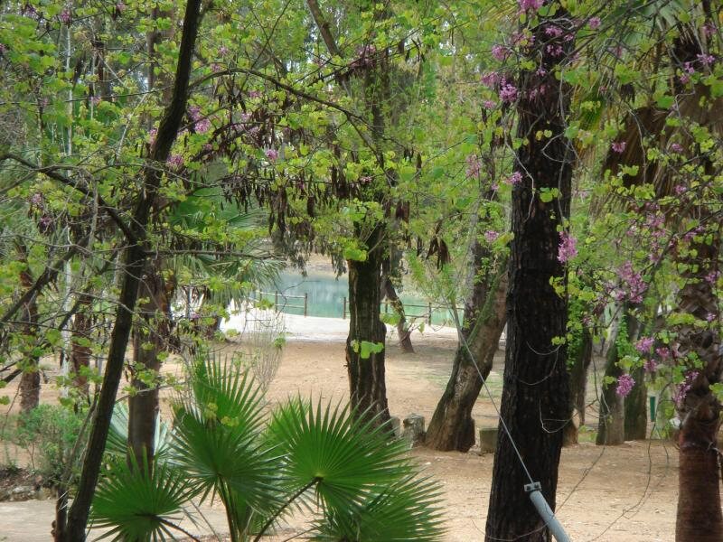 Nahuar Rural