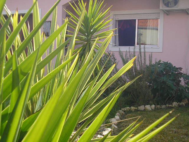 Casa Rural en Ponte de Vagos